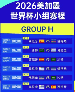 2026世界杯官方用球与赛场